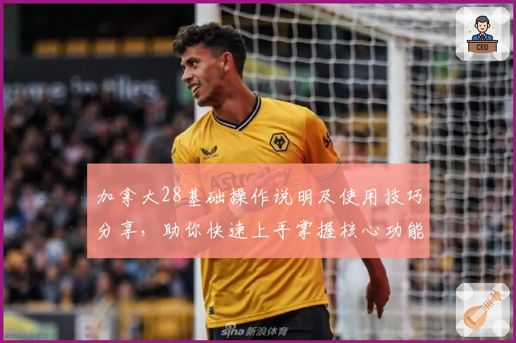 加拿大28基础操作说明及使用技巧分享，助你快速上手掌握核心功能