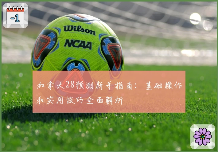 加拿大28预测新手指南:基础操作和实用技巧全面解析
