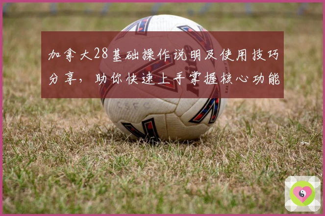加拿大28基础操作说明及使用技巧分享,助你快速上手掌握核心功能