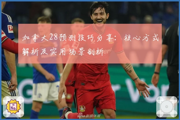 加拿大28预测技巧分享：核心方式解析及实用场景剖析