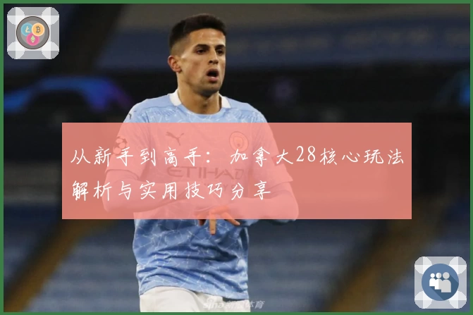 从新手到高手：加拿大28核心玩法解析与实用技巧分享