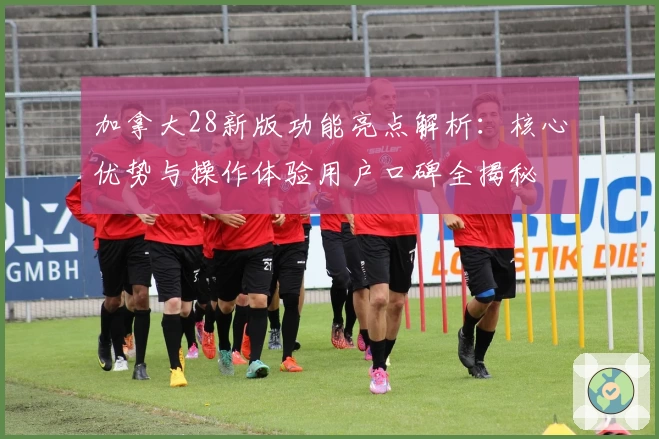 加拿大28新版功能亮点解析：核心优势与操作体验用户口碑全揭秘