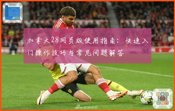 加拿大28网页版使用指南：快速入门操作技巧与常见问题解答