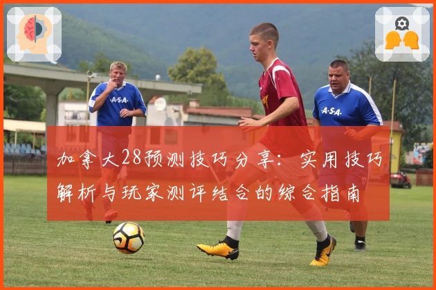 加拿大28预测技巧分享：实用技巧解析与玩家测评结合的综合指南