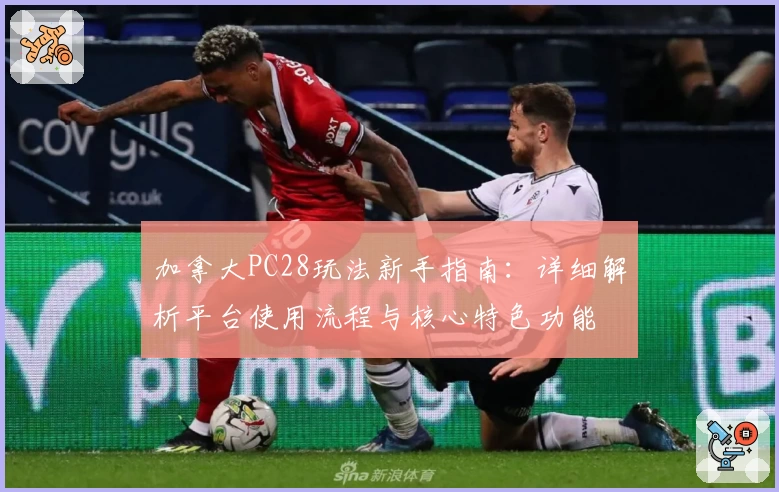 加拿大PC28玩法新手指南：详细解析平台使用流程与核心特色功能
