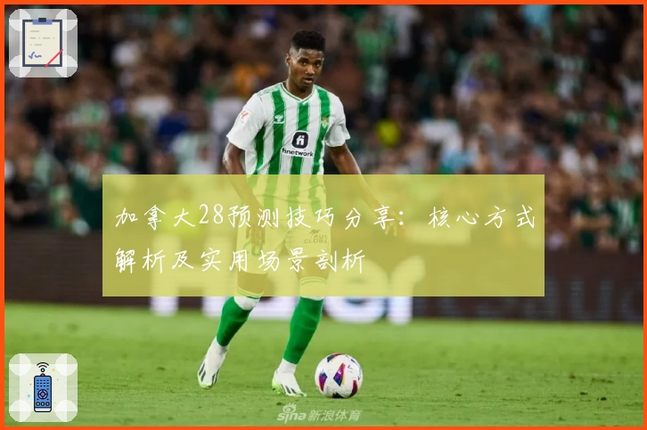 加拿大28预测技巧分享：核心方式解析及实用场景剖析